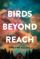 book cover for Birds Beyond Reach