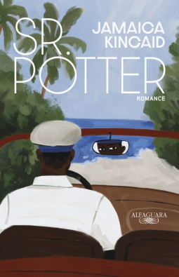 book cover for SR. POTTER