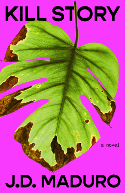 book cover for Kill Story
