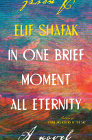 book cover for In One Brief Moment All Eternity