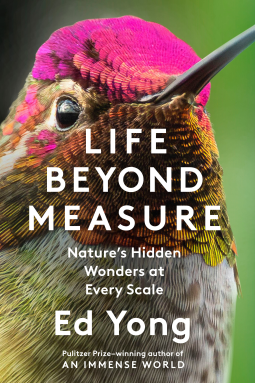book cover for Life Beyond Measure