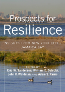 book cover for Prospects for Resilience