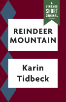 book cover for Reindeer Mountain