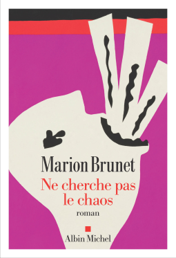 Couverture du livre pour Ne cherche pas le chaos