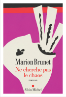 Couverture du livre pour Ne cherche pas le chaos