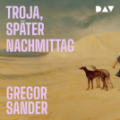 Buchcover für Troja, später Nachmittag