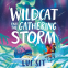 book cover for The Wildcat and the Gathering Storm