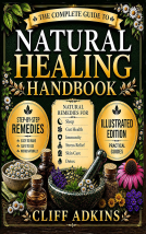 book cover for Natural Healing Handbook