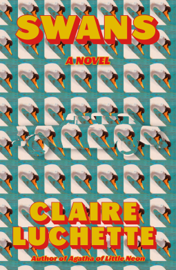 book cover for Swans