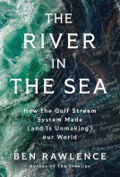 book cover for The River in the Sea