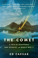 book cover for The Comet