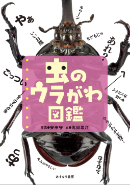 虫のウラがわ図鑑 表紙