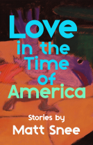book cover for Love in the Time of America