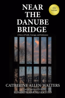 book cover for Near the Danube Bridge