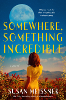 book cover for Somewhere, Something Incredible