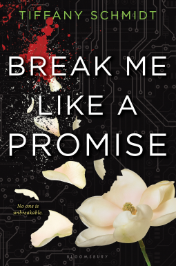 book cover for Break Me Like a Promise