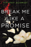 Cover Image: Break Me Like a Promise