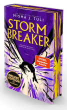 Buchcover für Storm Breaker