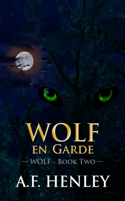book cover for Wolf en Garde