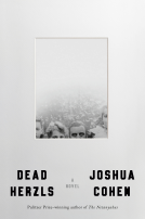 book cover for Dead Herzls