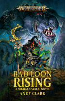 book cover for Bad Loon Rising