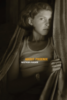 book cover for About Phoenix