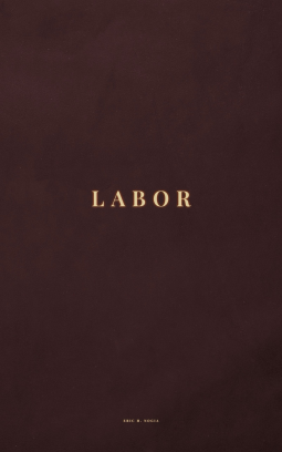 book cover for LABOR