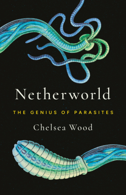 book cover for Netherworld