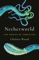 book cover for Netherworld