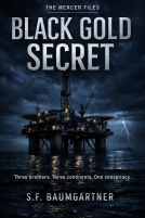book cover for Black Gold Secret