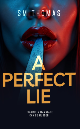 book cover for A Perfect Lie
