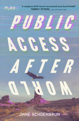 book cover for Public Access Afterworld
