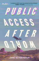book cover for Public Access Afterworld