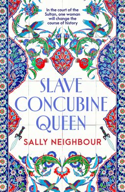 book cover for Slave Concubine Queen