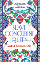 book cover for Slave Concubine Queen