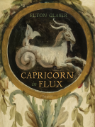 book cover for Capricorn in Flux