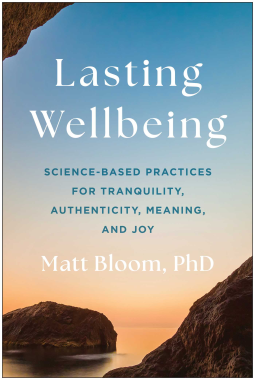book cover for Lasting Wellbeing