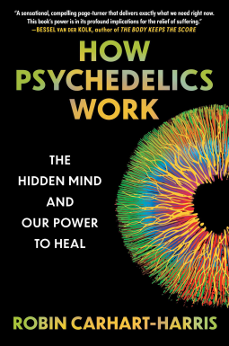 book cover for How Psychedelics Work