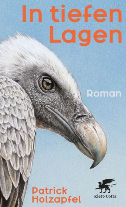 Buchcover für In tiefen Lagen