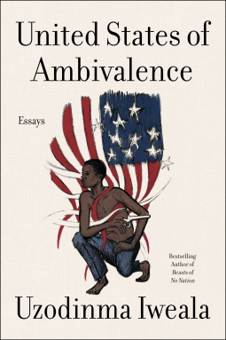 book cover for United States of Ambivalence