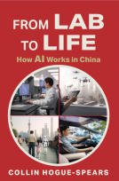 book cover for From Lab to Life: How AI Works in China