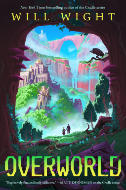 book cover for Overworld