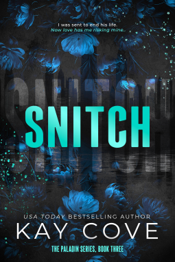book cover for Snitch