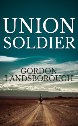 book cover for Union Soldier