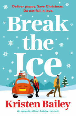 book cover for Break the Ice