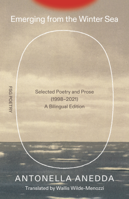 book cover for Emerging from the Winter Sea