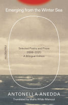 book cover for Emerging from the Winter Sea