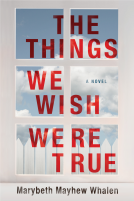 book cover for The Things We Wish Were True