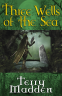 Cover Image: Three Wells of the Sea