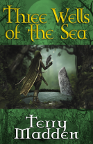 book cover for Three Wells of the Sea